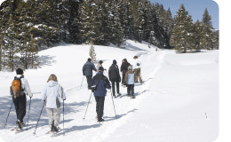 Snowshoe