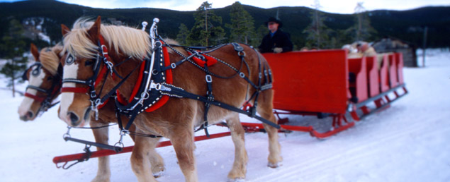 Sleigh Rides