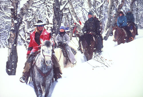 Horseback Riding